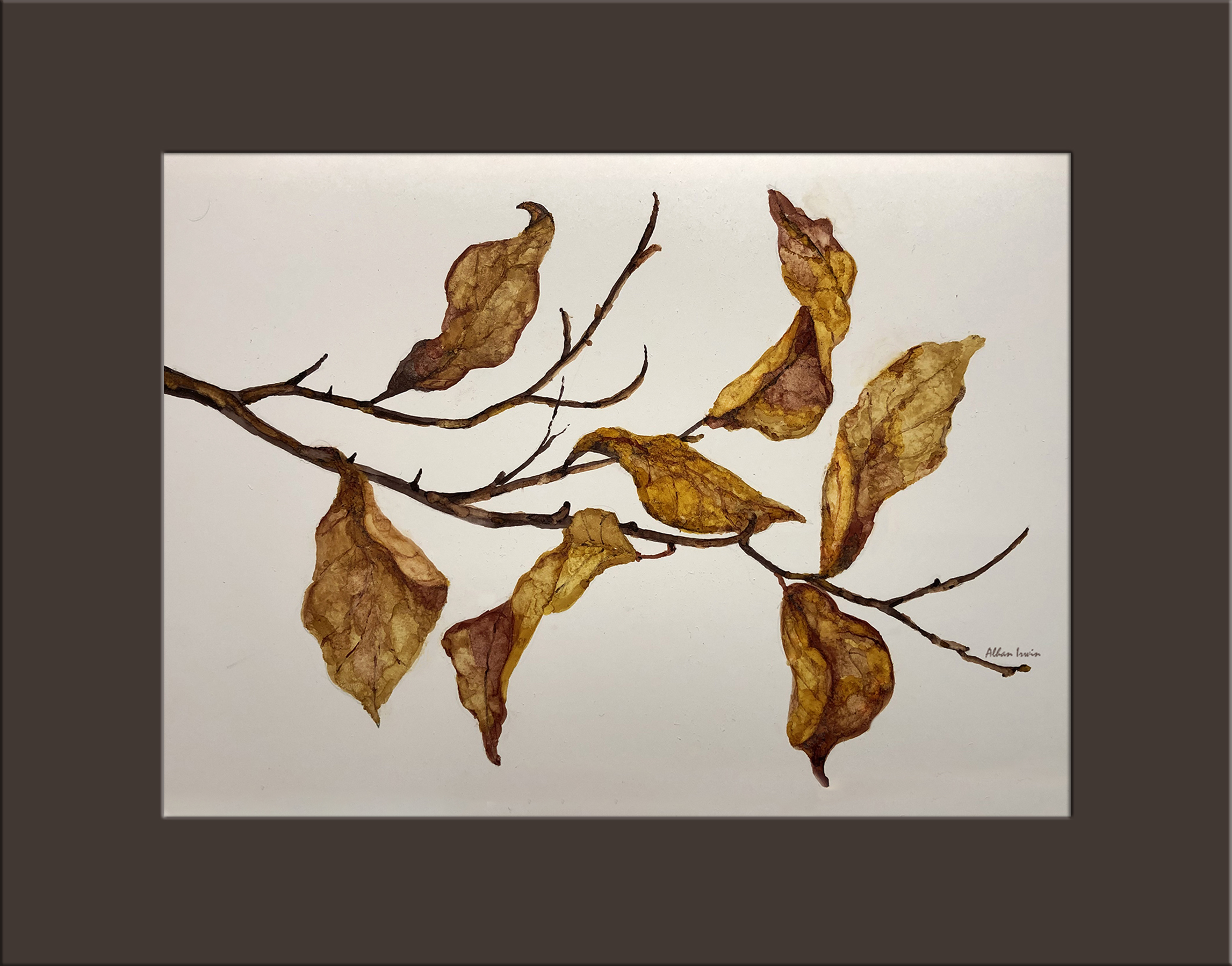 Fall leaves Alhan Irwin